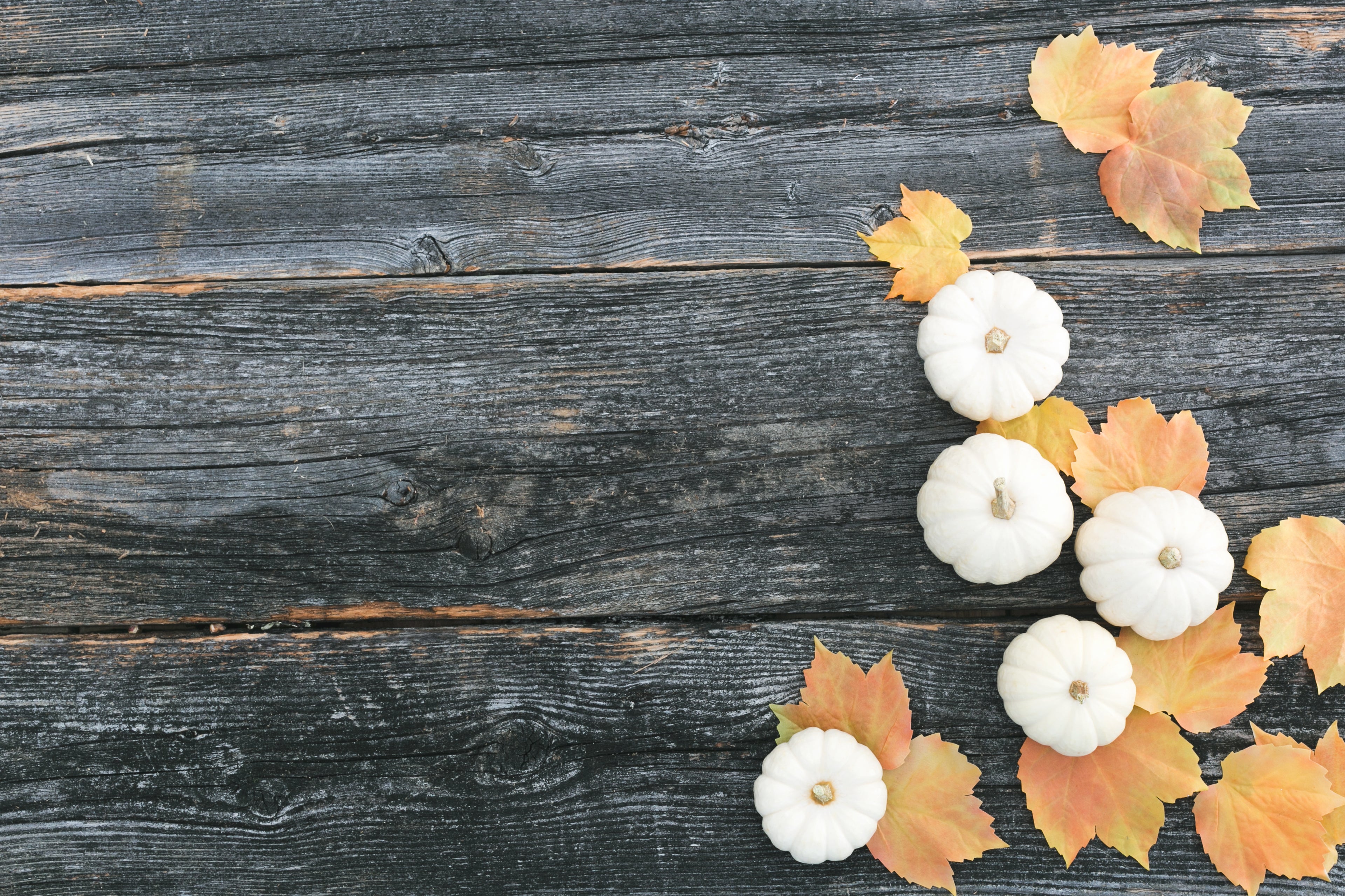 First Orders Get 20% Off -
Use Code Pumpkin25