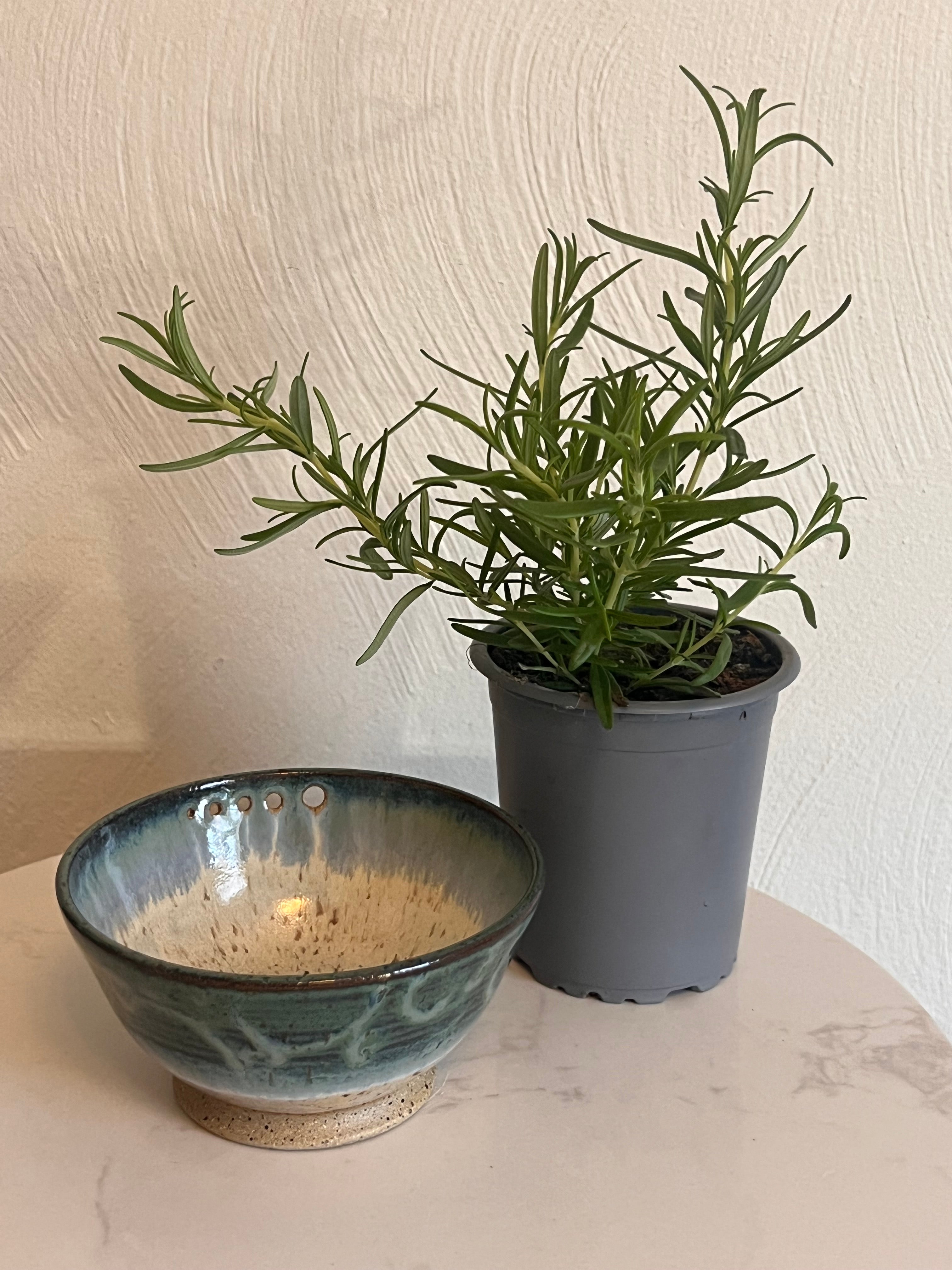 Hand-thrown Pottery by                     B. Cramer Clay                                  - - Herb Stripper Bowl