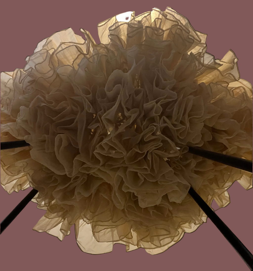 Vintage Ruthad Petticoat- XS